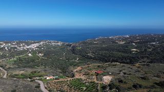 Αγροτεμάχια 14.935 τ.μ. για πώληση