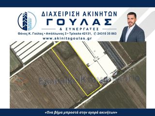 Αγροτεμάχια 9.028 τ.μ. προς πώληση