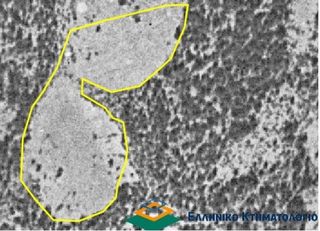 Αγροτεμάχια 21.980 τ.μ. για πώληση