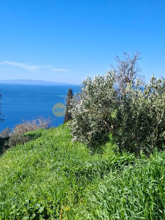 Οικόπεδο 4.308 τ.μ. για πώληση, Κυκλάδες, Άνδρος