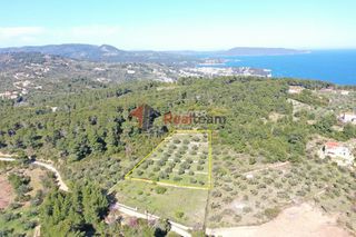 Αγροτεμάχια 5.882 τ.μ. για πώληση