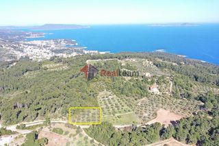 Αγροτεμάχια 1.607 τ.μ. για πώληση