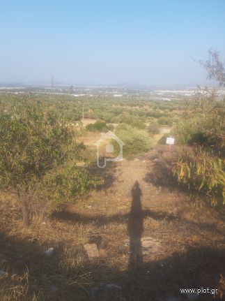 Parcel 473 sqm for sale, Athens - East, Paiania