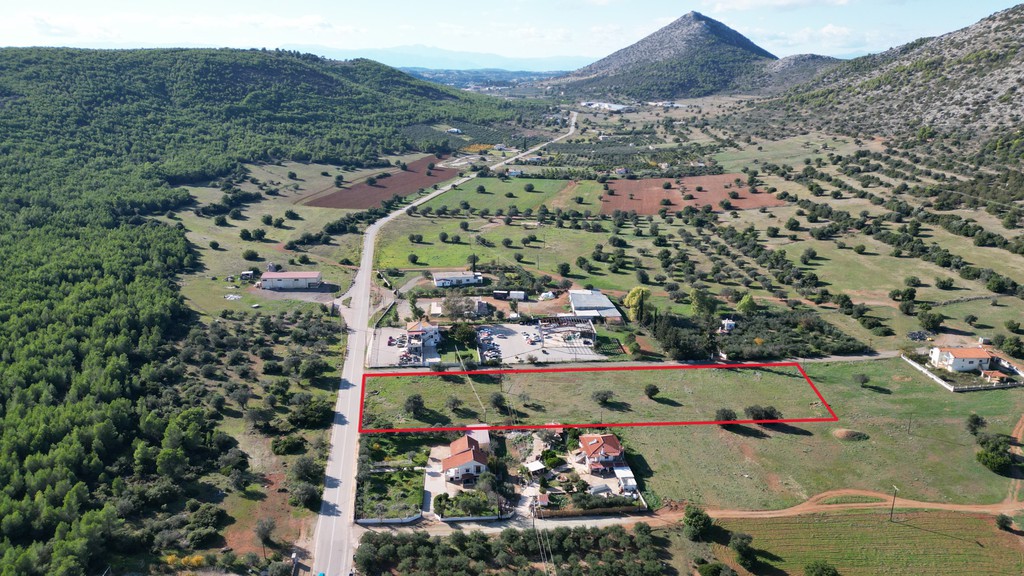 Αγροτεμάχια 8.500 τ.μ. για πώληση, Αργολίδα, Ερμιόνη