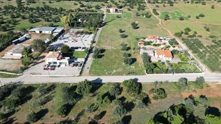 Αγροτεμάχια 8.500 τ.μ. για πώληση, Αργολίδα, Ερμιόνη-thumb-6