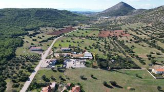 Αγροτεμάχια 8.500 τ.μ. για πώληση, Αργολίδα, Ερμιόνη-thumb-7