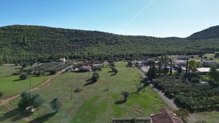 Αγροτεμάχια 8.500 τ.μ. για πώληση, Αργολίδα, Ερμιόνη-thumb-5