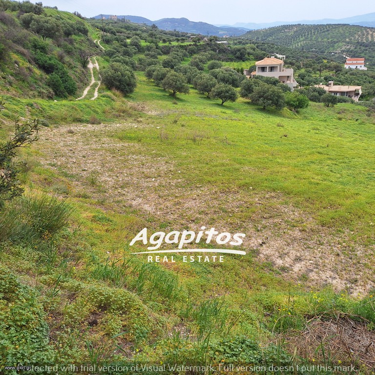 Οικόπεδο 4.395 τ.μ. προς πώληση, Βασιλείες