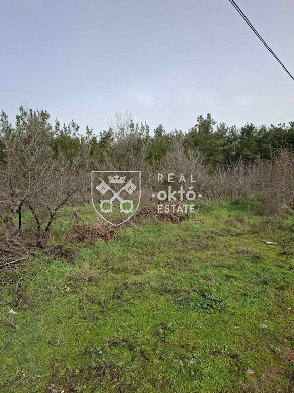 Αγροτεμάχια 4.800 τ.μ. πρός πώληση, Θεσσαλονίκη - Περιφ/Κοί Δήμοι, Πανόραμα