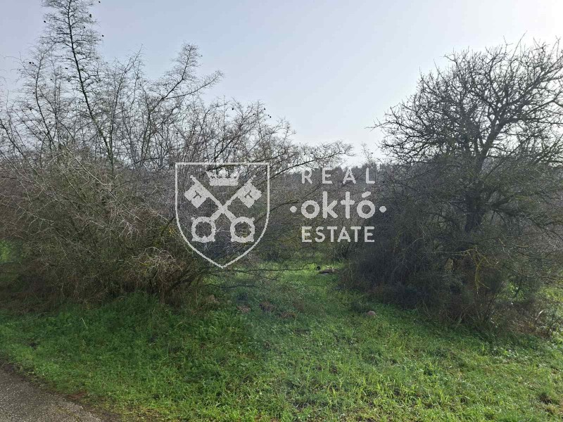 Αγροτεμάχια 4.800 τ.μ. πρός πώληση, Θεσσαλονίκη - Περιφ/Κοί Δήμοι, Πανόραμα