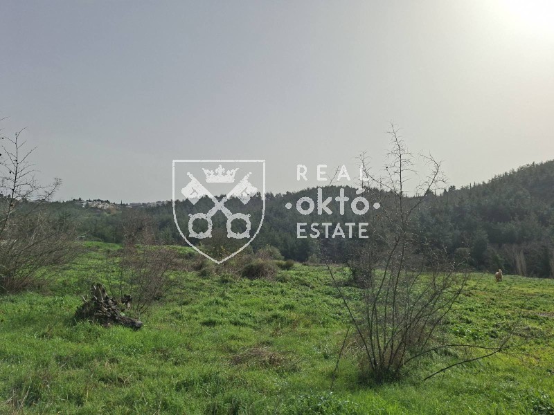 Αγροτεμάχια 4.800 τ.μ. πρός πώληση, Θεσσαλονίκη - Περιφ/Κοί Δήμοι, Πανόραμα