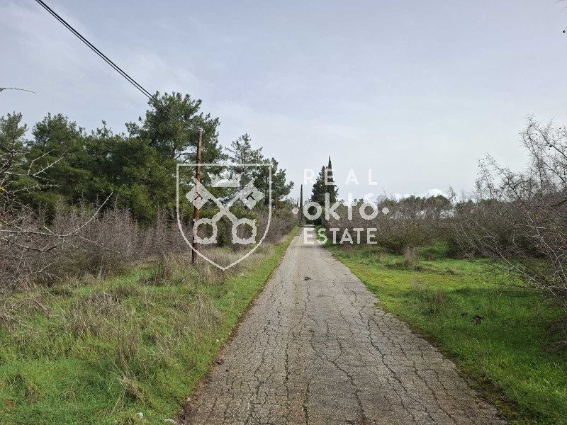 Αγροτεμάχια 4.800 τ.μ. πρός πώληση, Θεσσαλονίκη - Περιφ/Κοί Δήμοι, Πανόραμα