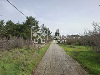 Αγροτεμάχια 4.800 τ.μ. για πώληση