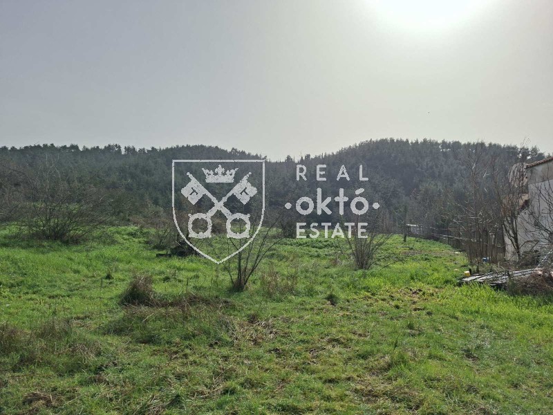 Αγροτεμάχια 4.800 τ.μ. πρός πώληση, Θεσσαλονίκη - Περιφ/Κοί Δήμοι, Πανόραμα