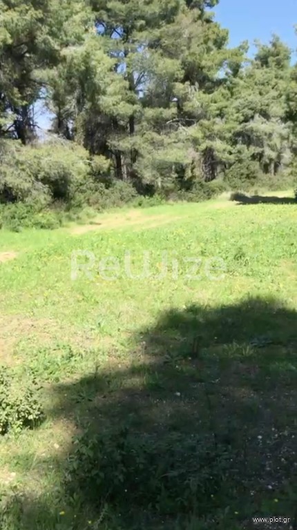 Αγροτεμάχια 12.000 τ.μ. προς πώληση, Ελάνη