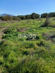 Αγροτεμάχια 4.150 τ.μ. προς ενοικίαση, Θέρμη-thumb-6