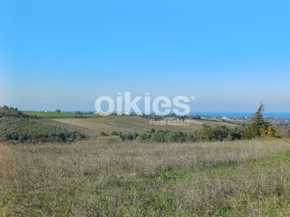 Αγροτεμάχια 4.150 τ.μ. για ενοικίαση