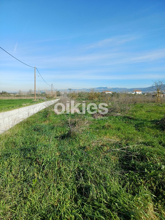 Αγροτεμάχια 4.150 τ.μ. προς ενοικίαση, Θεσσαλονίκη - Περιφ/Κοί Δήμοι, Θέρμη