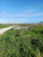 Αγροτεμάχια 4.150 τ.μ. προς ενοικίαση, Θέρμη-thumb-1