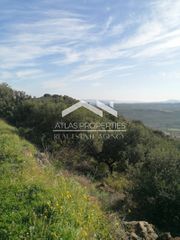Οικόπεδο 3.419 τ.μ. για πώληση, Ν. Χανίων, Κολυμβάρι-thumb-6