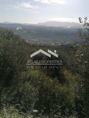 Οικόπεδο 3.419 τ.μ. για πώληση, Ν. Χανίων, Κολυμβάρι-thumb-3