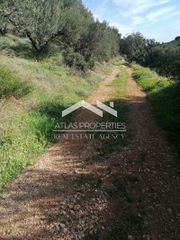 Οικόπεδο 3.419 τ.μ. για πώληση, Ν. Χανίων, Κολυμβάρι-thumb-7