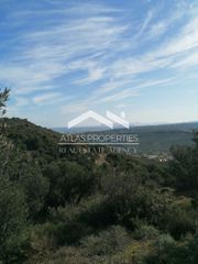 Οικόπεδο 3.419 τ.μ. για πώληση, Ν. Χανίων, Κολυμβάρι-thumb-8