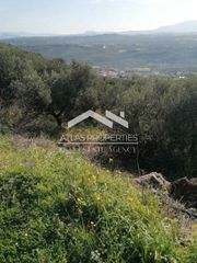Οικόπεδο 3.419 τ.μ. για πώληση, Ν. Χανίων, Κολυμβάρι-thumb-5