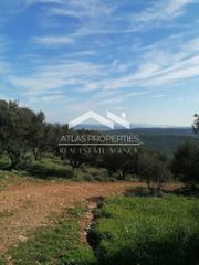 Οικόπεδο 3.419 τ.μ. για πώληση