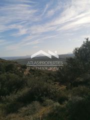 Οικόπεδο 3.419 τ.μ. για πώληση, Ν. Χανίων, Κολυμβάρι-thumb-9