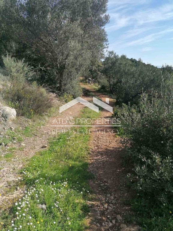 Οικόπεδο 3.419 τ.μ. προς πώληση, Σπηλιά Κολυμβαρίου
