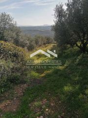 Οικόπεδο 3.419 τ.μ. για πώληση, Ν. Χανίων, Κολυμβάρι-thumb-2