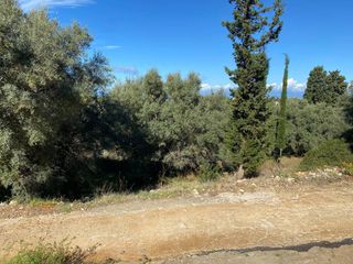 Αγροτεμάχια 2.044 τ.μ. για πώληση, Ν. Λευκάδας, Λευκάδα-thumb-5
