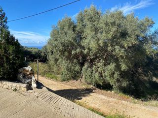 Αγροτεμάχια 2.044 τ.μ. για πώληση, Ν. Λευκάδας, Λευκάδα-thumb-6