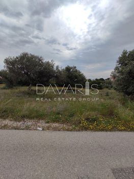 Οικόπεδο 245 τ.μ. πρός πώληση