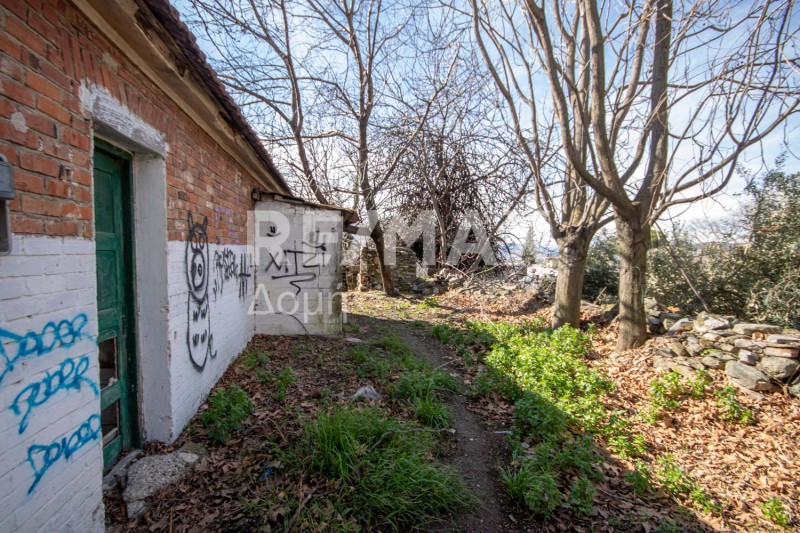 Μονοκατοικία 53 τ.μ. πρός πώληση, Μαγνησία, Ιωλκός