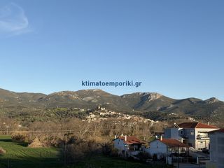 Μονοκατοικία 290 τ.μ. για πώληση, Εύβοια, Αυλώνα-thumb-35