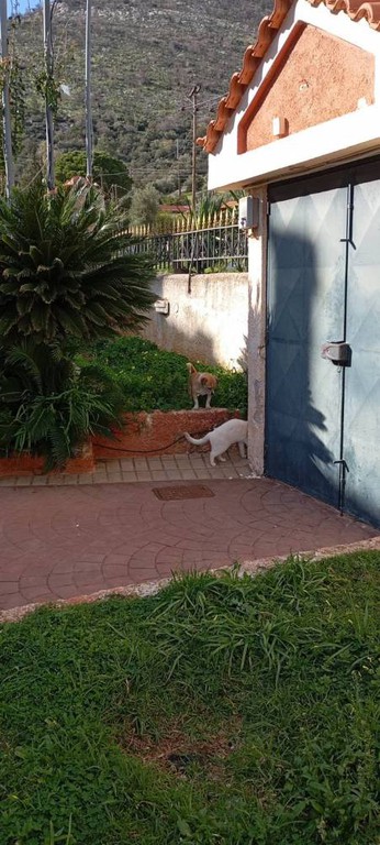Μονοκατοικία 270 τ.μ. πρός πώληση, Αθήνα - Ανατολικά Προάστια, Νέα Μάκρη
