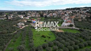 Οικόπεδο 2.713 τ.μ. προς πώληση, Βάμος-thumb-8
