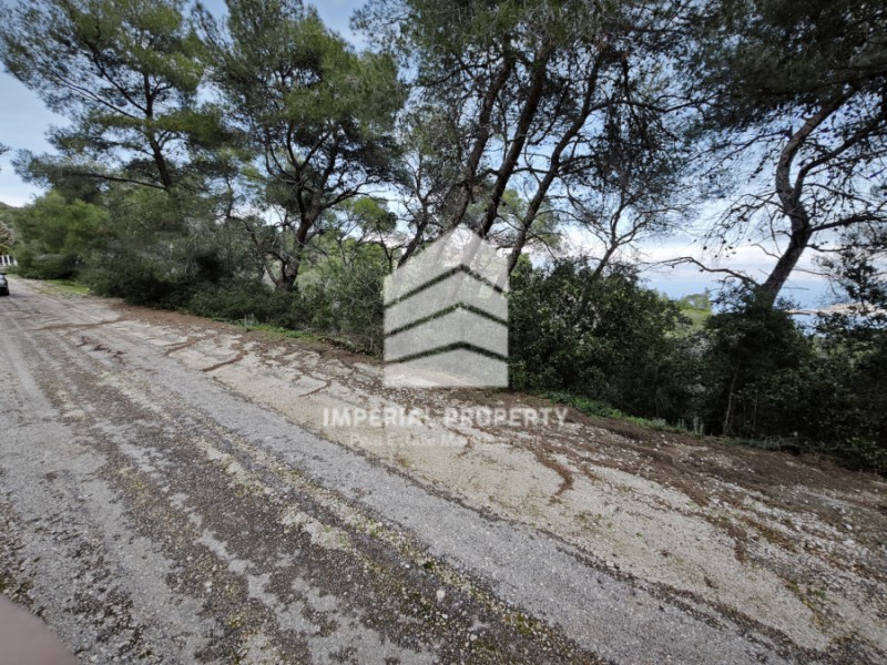 Οικόπεδο 1.207 τ.μ. προς πώληση, Πευκάλι