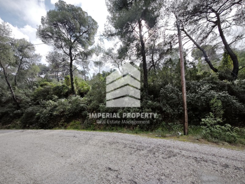 Οικόπεδο 1.207 τ.μ. προς πώληση, Πευκάλι