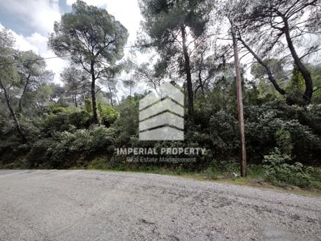 Οικόπεδο 1.207 τ.μ. προς πώληση