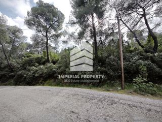 Οικόπεδο 1.207 τ.μ. για πώληση