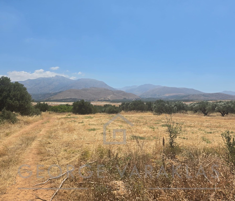 Οικόπεδο 8.000 τ.μ. πρός πώληση, Ν. Ηρακλείου, Καστέλλι