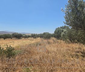 Οικόπεδο 5.389 τ.μ. για πώληση
