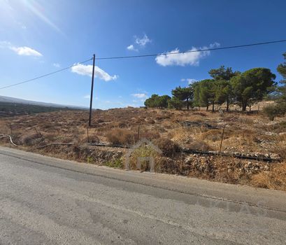 Οικόπεδο 6.500 τ.μ. πρός πώληση