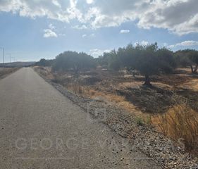 Οικόπεδο 6.800 τ.μ. για πώληση