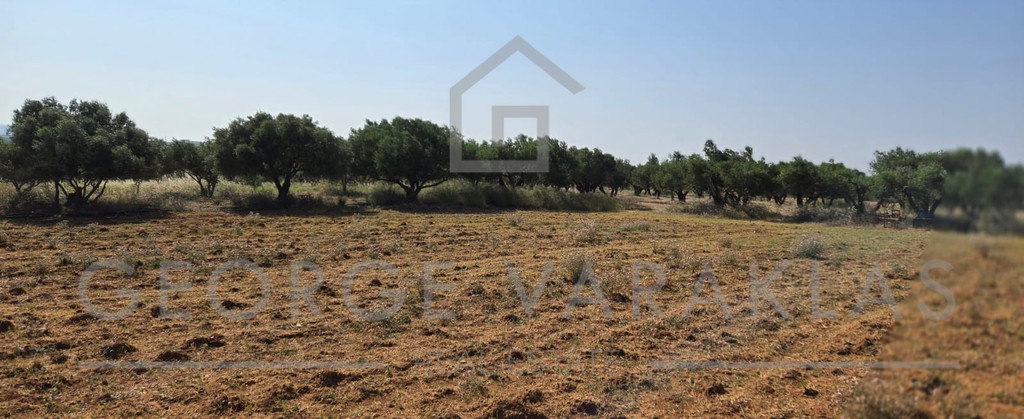 Οικόπεδο 30.500 τ.μ. πρός πώληση, Ν. Ηρακλείου, Καστέλλι