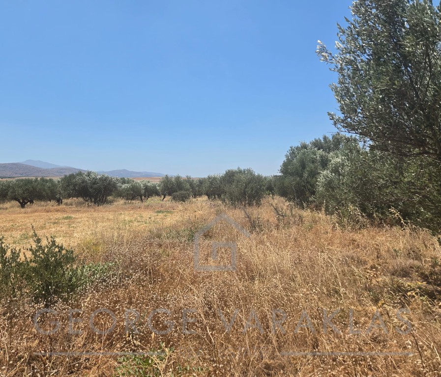 Οικόπεδο 4.500 τ.μ. πρός πώληση, Ν. Ηρακλείου, Καστέλλι