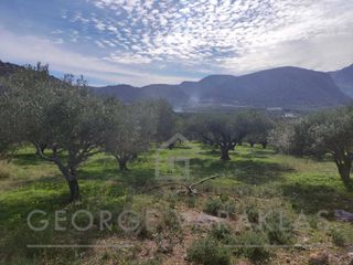 Οικόπεδο 6.314 τ.μ. για πώληση, Ν. Λασιθίου, Νεάπολη-thumb-2